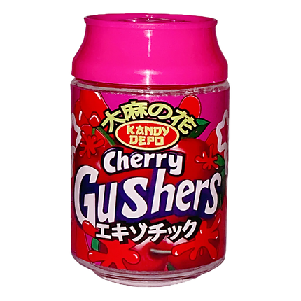 12 Pack Soda Can Style Plastic Storage Containers – Cherry Design
