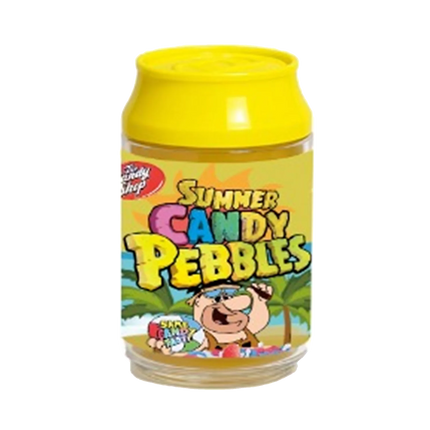 12 Pack 3.5 Size Soda Can Style Plastic Storage Containers – Summer Pebble Design