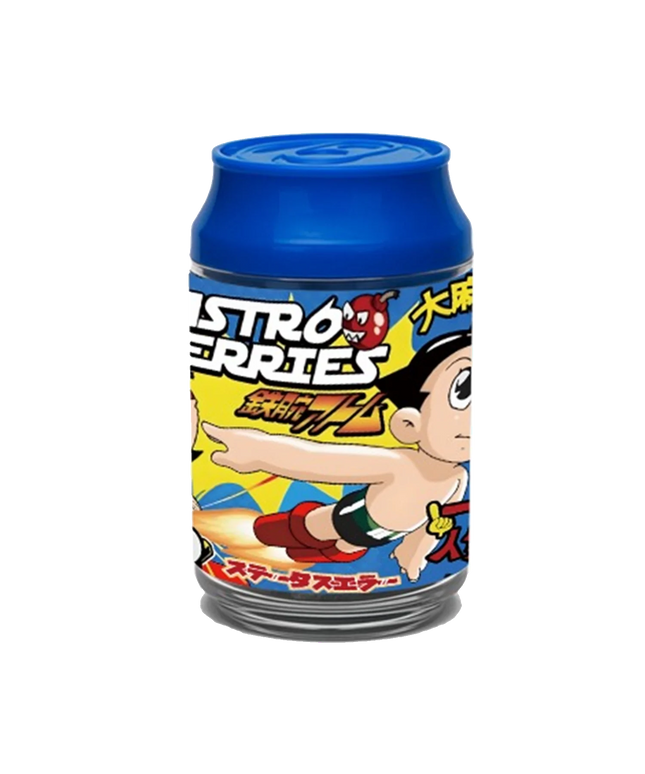 12 Pack 3.5 Size Soda Can Style Plastic Storage Containers - Astro Cherry Design