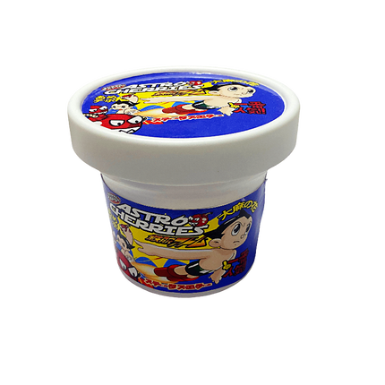 12 Pack Pint-Style Plastic Storage Containers with Lids – Astro Cherries