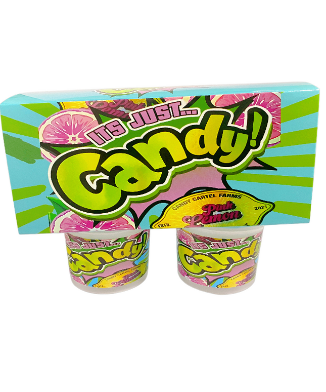 12-Pack Ice Cream Pint Style Containers with Lids & Display Boxes - Pink Lemon Design