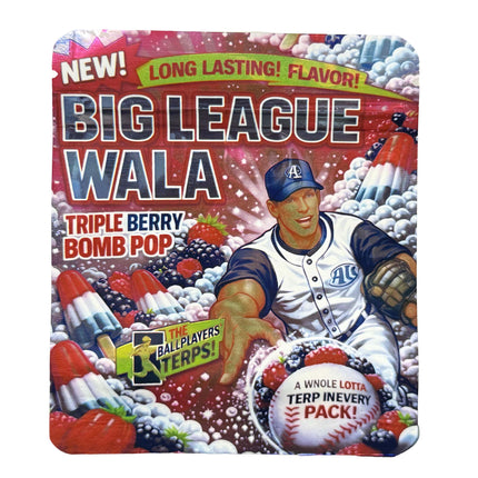 3.5 Gram Mylar Bag – Premium Smell-Proof Packaging - Big League Wala - Triple Berry Bomb Pop (50 Count) MB-35G-147