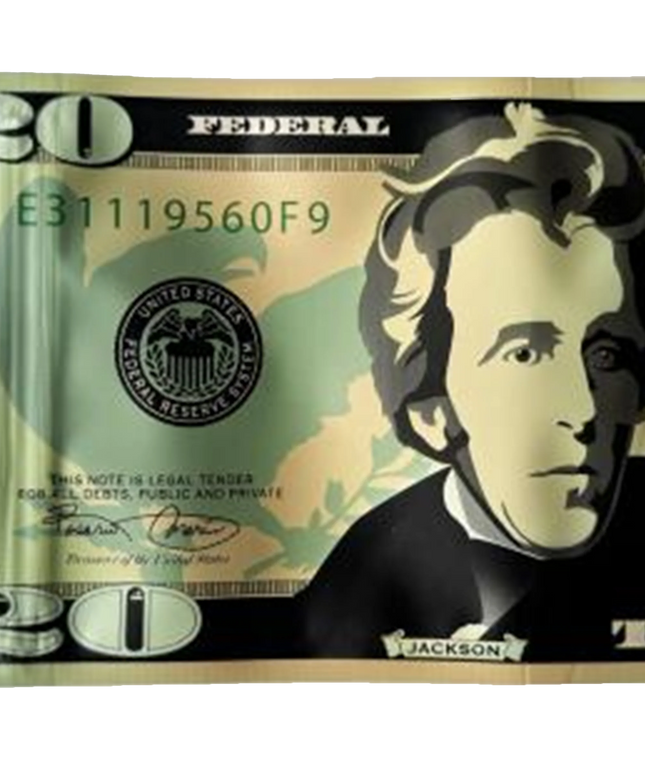 Money Mylar bag 3.5g, herb Mylar Bags, Where to buy mylar bags, Custom mylar bags near me, Mylar Bags Wholesale. Replica of a $20 bill with a stylized portrait on a white background